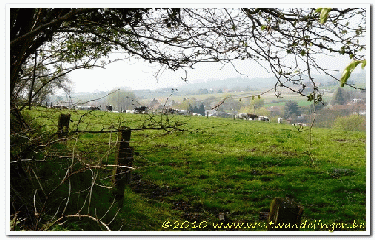 COLLINES GRAND CRU-belgique