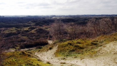 DE WESTHOEK-belgique