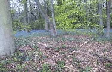 AUTOUR DE SAINT SAUVEUR-belgique