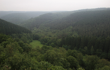 VALLEE DU NINGLISPO-belgique
