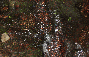 VALLEE DU NINGLISPO-belgique