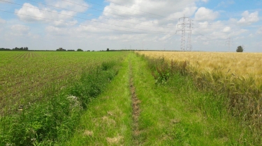 VISE-: COLLINES ET VALLONS EN BASSE-MEUSE-belgique