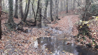 SERAING - NEUPRE - LA ROCHE AUX FAUCONS - BONCELLES-belgique