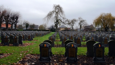 WESTVLETEREN I-belgique