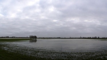WESTVLETEREN II-belgique