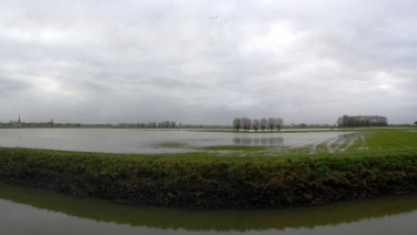 WESTVLETEREN II-belgique