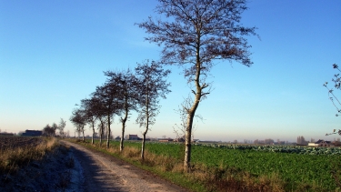 WESTVLETEREN III-belgique