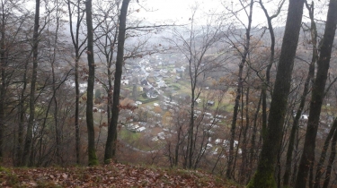 CORBION - LA ROCHE AUX EPERVIERS-belgique