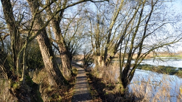 DE BLANKAART (I)-belgique