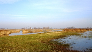VIJFHUIZENBROEK-belgique