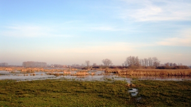 VIJFHUIZENBROEK-belgique