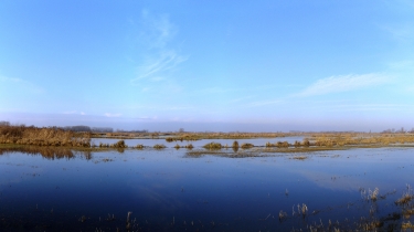 DE BLANKAART (II)-belgique