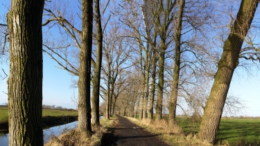 MERKEM II (DRIE GRACHTEN)-belgique