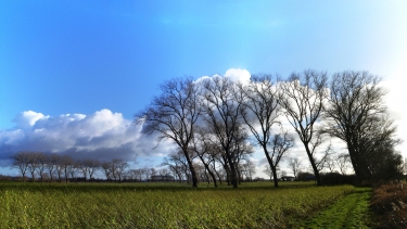 MERKEM I (FORT DE KNOCKE)-belgique
