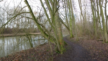SAS DE BOEZINGE-belgique