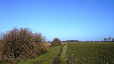 SITE JOHN MCCRAE-belgique