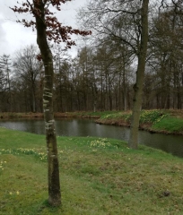 LESDAIN - BALADE EN FORET DE HOWARDRIES-belgique