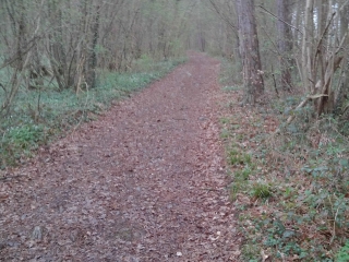 DOURBES  - MARCHE FFBMP-belgique