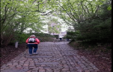 KAIN-ASCENSION DU MONT ST AUBERT-belgique