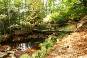 DE SART A MOULIN DU RUY-belgique