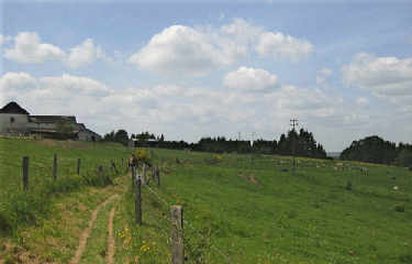 BERTOGNE - ENGREUX-belgique