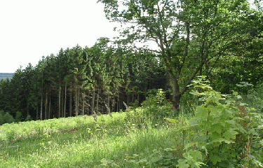 PAS DE RANDO-belgique