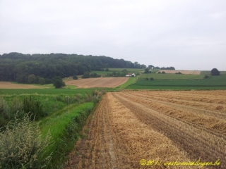 MONT SAINT-AUBERT-belgique