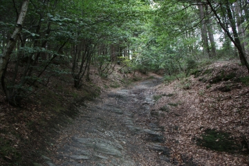 SART - SOLWASTER-belgique