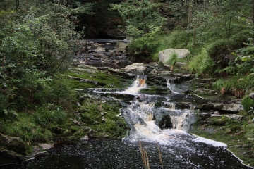 SART - SOLWASTER-belgique
