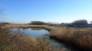 PERVIJZE - STUIVEKENSKERKE-belgique