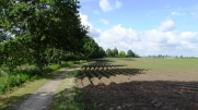 DIKKEBUS VIJVER I-belgique