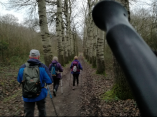 YPRES - CHEMIN DE PALINGBEEK-belgique