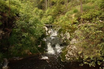 ENTRE OVIFAT ET LONGFAYS-belgique