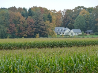 HOF TEN HOUT-belgique