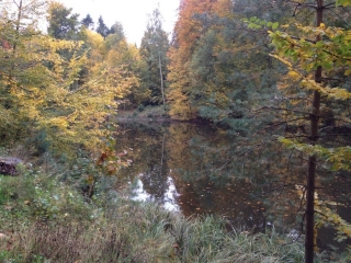 BOSSUT - NETHEN - FORET DE MEERDAAL-belgique