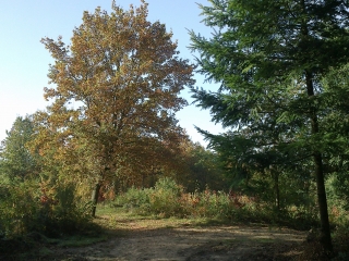 VILLERS-LA-VILLE-belgique