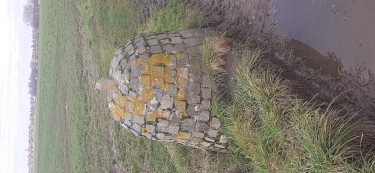 AUTOUR DE TEMPLEUVE ET NéCHIN-belgique