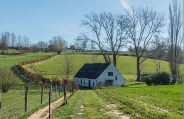 VTT MARTUé -BELGIQUE-belgique