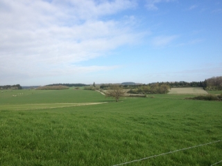 BOIS D AVENNES - SOMME-LEUZE-belgique