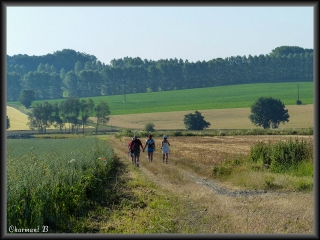 HAM-SUR-HEURE-NALINNES-belgique