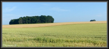 HAM-SUR-HEURE-NALINNES-belgique