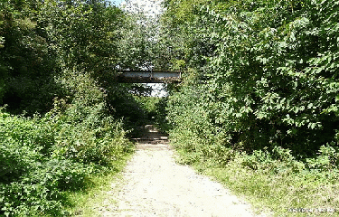 ONNEZIES - BOIS D ANGRE-belgique