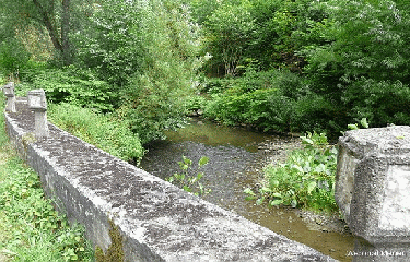 ONNEZIES - BOIS D ANGRE-belgique