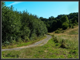 VIRGINAL-SAMME-belgique