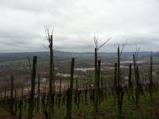 SCHWEBSANGE-luxembourg