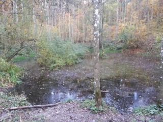 BERTRANGE-luxembourg