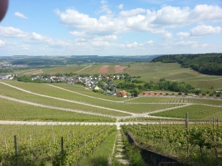 WELLENSTEIN-luxembourg