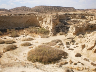 PARC NATUREL DES BARDENAS -espagne