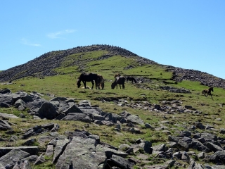 AUTZA DEPUIS GOROSTAPOLO-espagne