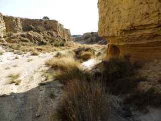 AU SUD DE PAMPELUNE - DESERT DES BARDENAS-espagne